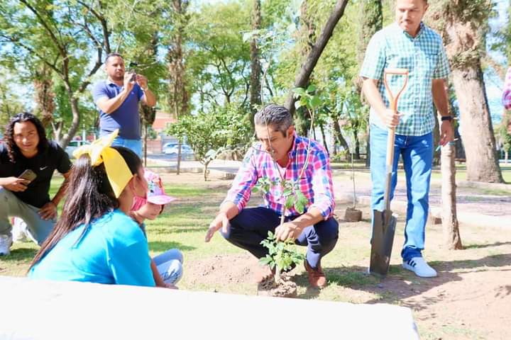 Comprometidos con el medio ambiente, hacen reforestación en el parque Hidalgo